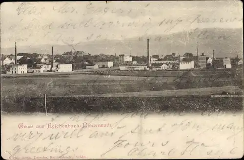 Ak Dzierżoniów Reichenbach Niederstadt Eulengebirge Schlesien, Panorama vom Ort