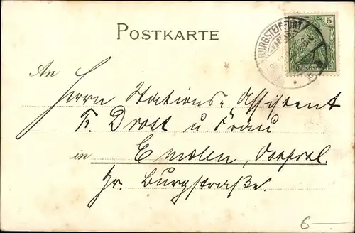 Künstler Ak Mailick, Glückwunsch Neujahr 1901, Margeriten, Veilchen