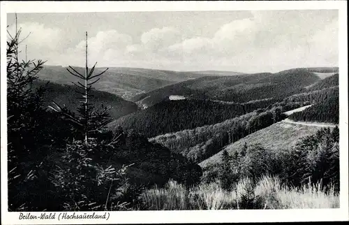 Ak Wald Brilon im Sauerland, Panorama