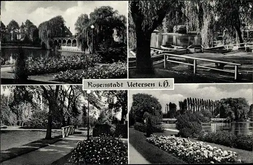 Ak Uetersen in Holstein, Partie im Rosarium