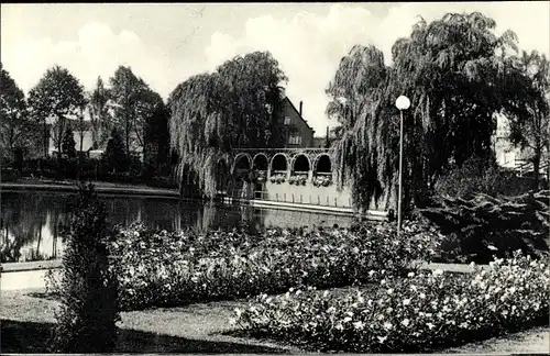 Ak Uetersen in Holstein, Rosarium