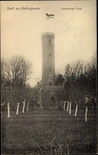 Ak Kellinghusen in Schleswig Holstein, Luisenberger Turm