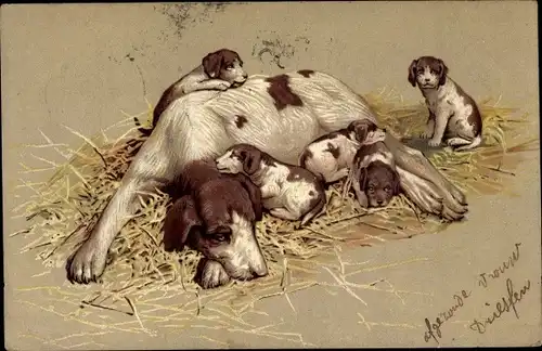 Präge Litho Hunde, Hündin mit Welpen