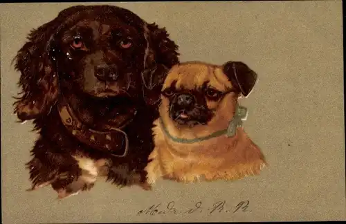 Präge Litho Hunde, Kopfstudien