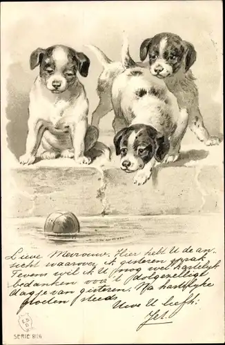 Präge Litho Hundewelpen am Wasser