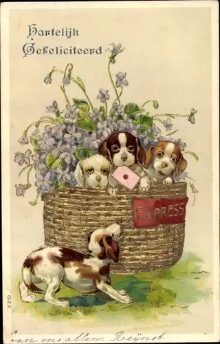 Präge Ak Glückwunsch, Hartelijk Gefeliciteerd, Hundewelpen