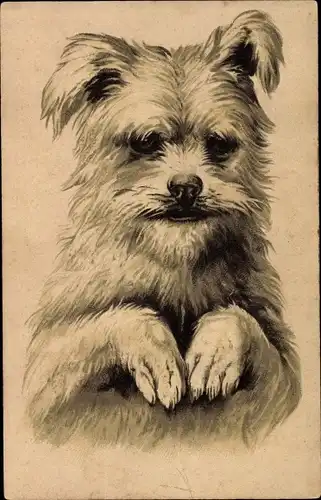 Präge Litho Hundeportrait, Terrier, Männchen machend