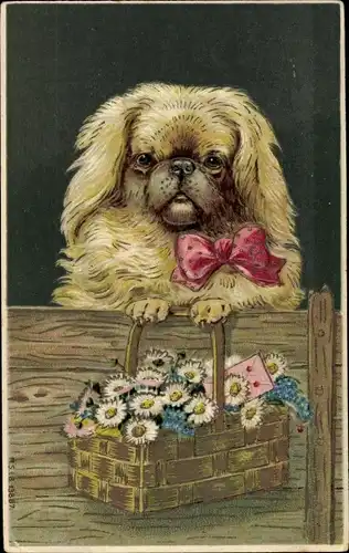 Präge Ak Glückwunsch, Pekingese mit Blumenkorb