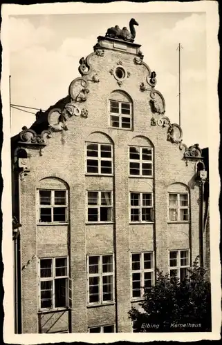 Ak Elbląg Elbing Westpreußen, Kamelhaus