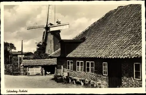 Ak Schönberg in Schleswig Holstein, Probstei, Windmühle