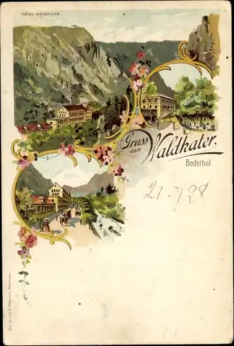 Litho Thale im Harz, Hotel Waldkater, Bodetal