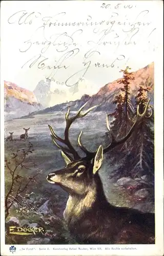 Künstler Ak Döcker, E., Hirsch, Kopfstudie, Geweih