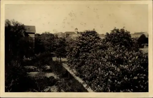 Foto Ak Berlin, Am Bahnhof Ostkreuz?, Lichtenberg?, Friedrichshain?, Straßenpartie, Kastanienbäume