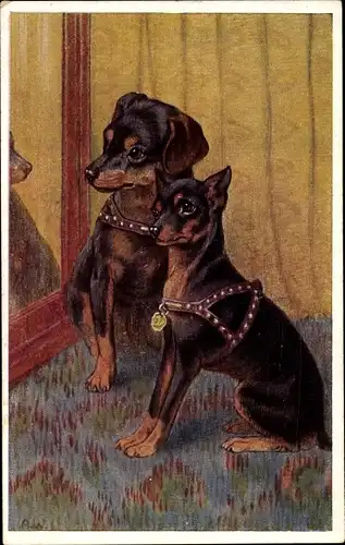 Künstler Ak Dackel, Hundeportrait