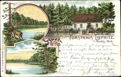 Litho Wandlitz in Brandenburg, Forsthaus Liepnitz