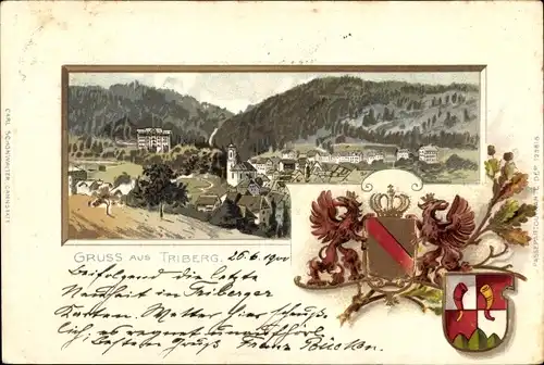 Wappen Passepartout Litho Triberg im Schwarzwald, Blick auf den Ort