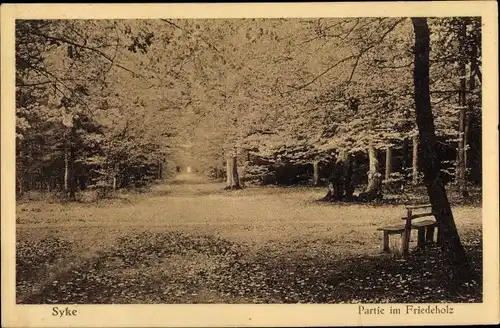 Ak Syke in Niedersachsen, Partie im Friedeholz