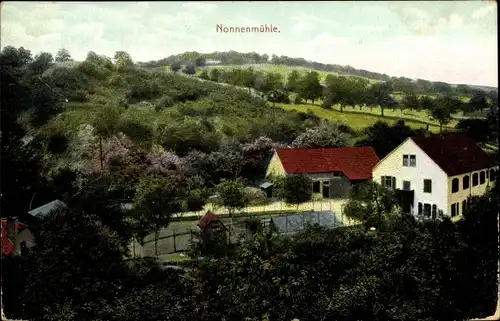 Ak Rüdesheim am Rhein Hessen, Blick zur Nonnenmühle