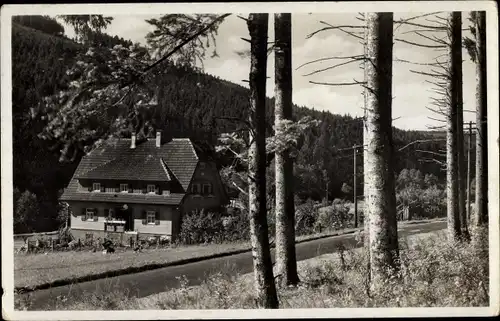 Ak Sprollenhaus Bad Wildbad im Schwarzwald, Sprollenmühle, Wald