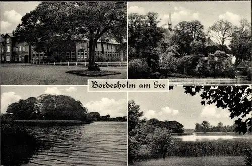 Ak Bordesholm in Holstein, Baum, Straße, Kirche, Wasserpartien
