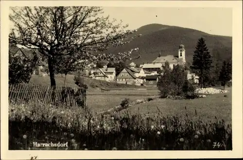 Ak Harrachov Harrachsdorf Riesengebirge Region Reichenberg, Blick auf den Ort