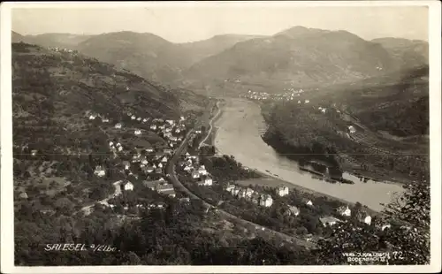 Ak Dolní Zálezly Salesel Region Aussig, Gesamtansicht