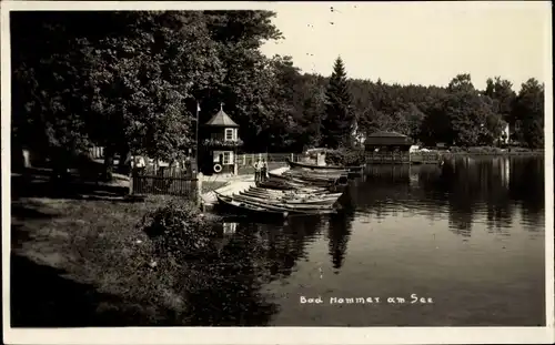 Ak Hamr na Jezeře Hammer am See Region Reichenberg, Partie am See, Boote