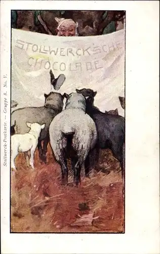 Ak Reklame, Stollwerck, Gruppe 9 No. V, Schafe, Zwerg