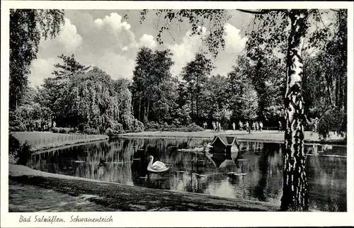 Ak Bad Salzuflen im Kreis Lippe, Schwanenteich