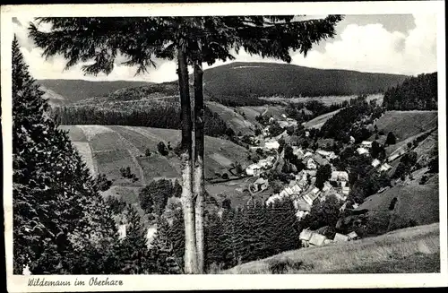 Ak Wildemann Clausthal Zellerfeld im Oberharz, Ort mit Umgebung