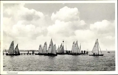 Ak Lembruch am Dümmersee, Segelboote auf dem See