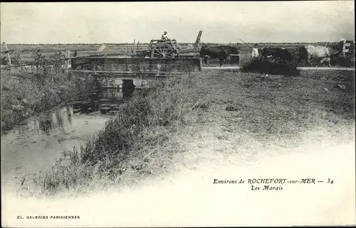 Ak Rochefort sur Mer Charente Maritime, Les Marais, Rinderkarren