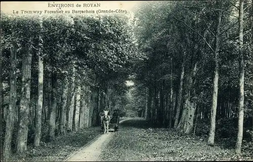 Ak Royan environs Charente Maritime, Le Tramway Forestier au Barrachois, Grande Cote
