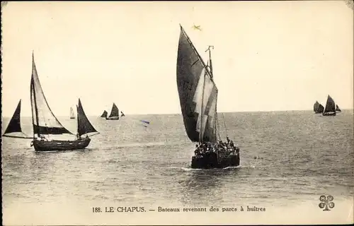 Ak Bourcefranc le Chapus Charente Maritime, Bateaux revenant des parcs a huitres