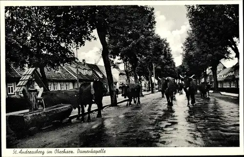 Ak Sankt Andreasberg Braunlage im Oberharz, Damenkapelle, Kühe auf der Straße, Tränke