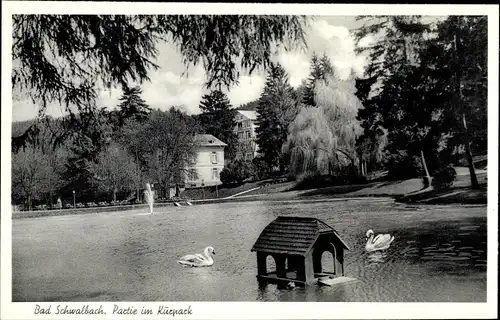 Ak Bad Schwalbach im Taunus, Partie im Kurpark, Schwäne