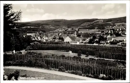 Ak Spalt Mittelfranken, Panorama mit Hopfenwald