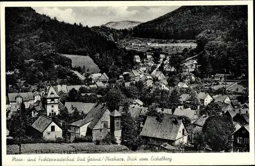 Ak Bad Grund im Harz, Ort vom Eichelberg aus gesehen