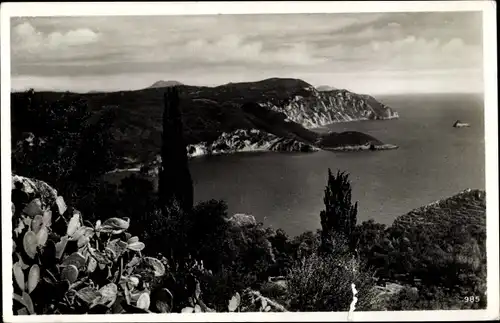 Ak Corfu Korfu Griechenland, Landschaftspanorama, Aussicht auf die Küste, Kakteen