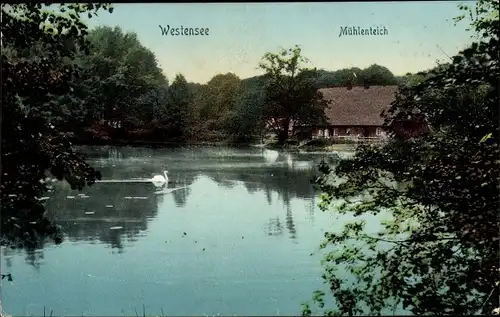 Ak Westensee in Schleswig Holstein, Mühlenteich, Wassermühle