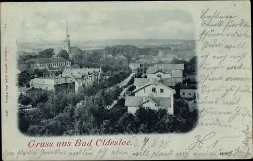 Ak Bad Oldesloe in Schleswig Holstein, Totalansicht der Ortschaft
