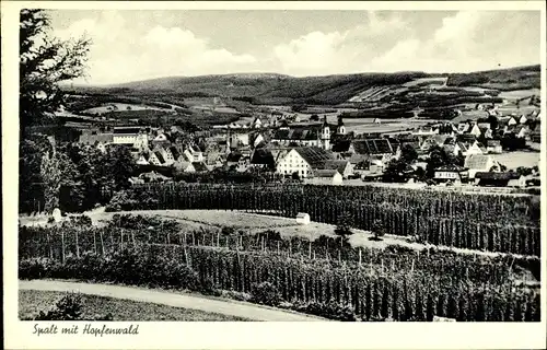 Ak Spalt Mittelfranken, Panorama mit Hopfenwald