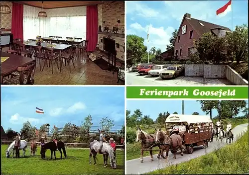 Ak Goosefeld in Schleswig Holstein, Ferienpark, Pferde, Kutsche, Streichelzoo, Gasthaus