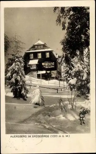 Ak Wildenthal Eibenstock im Erzgebirge, Auersberg, Winter