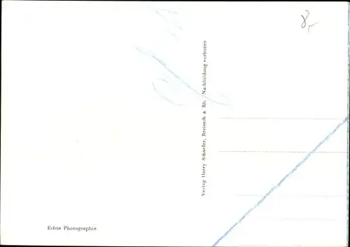 Ak Breisach am Oberrhein, Stephansmünster, Panorama
