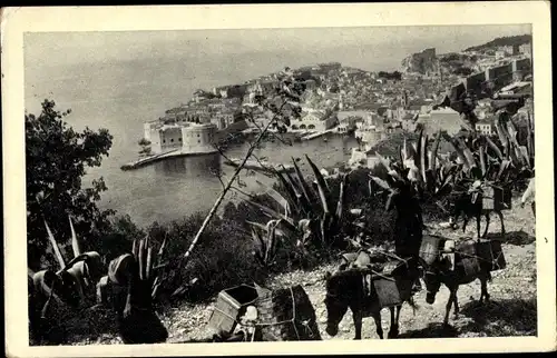 Ak Dubrovnik Kroatien, Blick auf den Ort, Esel