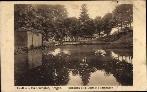 Ak Rechenberg Bienenmühle Erzgebirge, Teichpartie beim Gasthof Bienenmühle