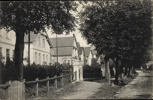 Ak Kellinghusen in Holstein, Lindenstraße