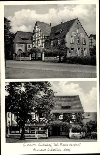 Ak Ossendorf Warburg in Westfalen, Gaststätte Lindenhof