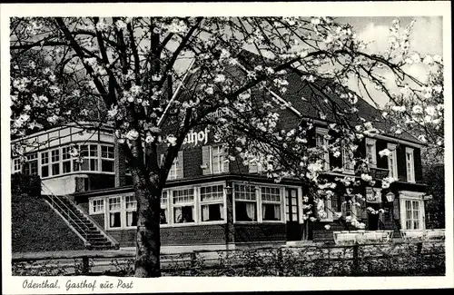 Ak Odenthal, Ansicht vom Gasthof zur Post, Baumblüte, Inh. Wilhelm Schnass